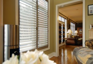 Anodized Silver Shutters